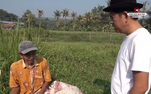 Salut! Abah Arya Bisa Nyabit Rumput dengan Mata Tak Melihat