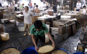 Respon DKUPP Purwakarta Soal Mogoknya Produksi Tahu Tempe