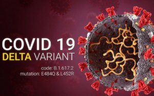 Makin Waspada! Virus Corona Varian Delta Plus Sudah Masuk Indonesia