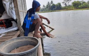 Pasokan Oksigen Langka, Produksi Petani Ikan di Purwakarta Menurun Drastis