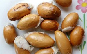 Biji Durian yang Biasa Dibuang, Ternyata Menyimpan Manfaat Bagi Kesehatan