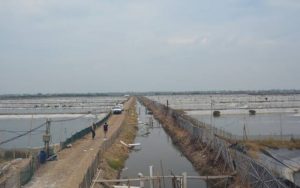 Pengembangan Potensi Perikanan Tambak di Karawang Terkendala Pendangkalan