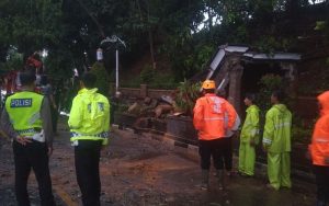 Pohon Tumbang Timpa Pengemudi Ojol Saat Hujan dan Angin Kencang di Jatiluhur