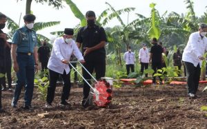 Kunjungi Purwakarta, Wapres Maruf Amin Bangun Kekuatan Pangan di Daerah dan Pesantren