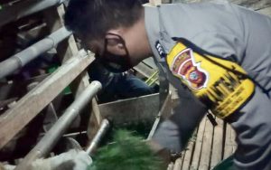 Brigpol Koko Juniadi, Seorang Polisi di Purwakarta Sukses Berwirausaha Ternak Kambing