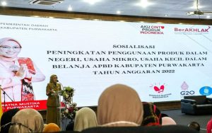 E-Katalog Lokal, Pemkab Purwakarta Dorong Penggunaan Produk Dalam Negeri