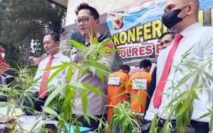 Polres Purwakarta Amankan Dua Pemuda yang Menaman Ganja di Desa Dangdeur Bungursari