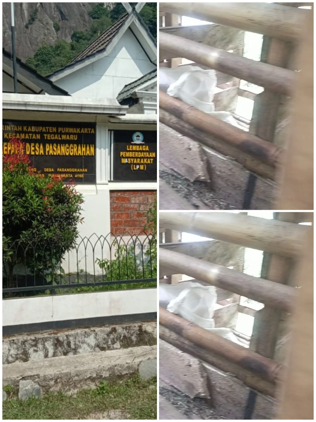 tim media diarahkan Kadus Derry memantau kandang domba ketahanan pangan yang lokasinya di pinggir rumah kades.