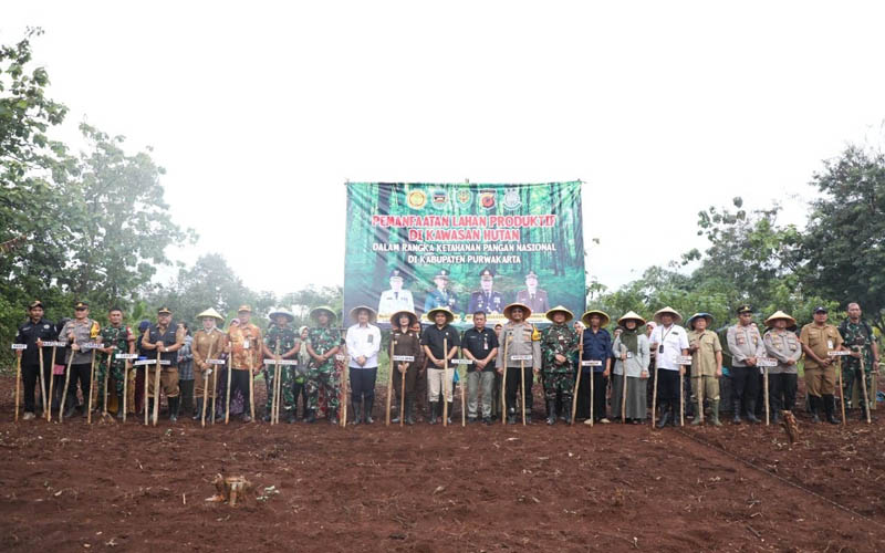 Pemkab Purwakarta Manfaatkan Lahan Produktif Untuk Tanam Padi Gogo