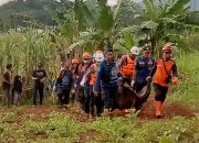 Penggembala domba di Purwakarta meninggal