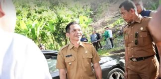 Bupati Purwakarta, Saepul Bahri Binzein