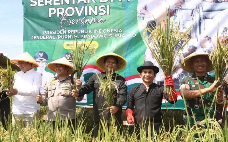 Surplus padi di Purwakarta