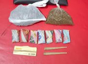 Barang bukti Ganja