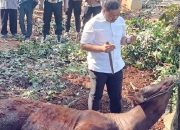 Idul Adha Polres Purwakarta