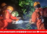 Akses Jalan Provinsi Purwakarta – Cianjur Tertutup Longsor, BPBD Lakukan Penanganan Cepat