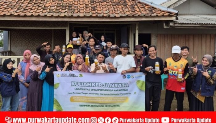 Gema Tangkas, Inovasi Mahasiswa KKN UNSIKA Bantu Petani Purwakarta Atasi Penyakit Blas
