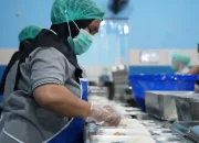 Hemat Rp20 T, Program Makan Bergizi Gratis Dipangkas Jadi 5 Hari per Minggu