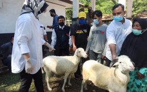 Bupati Purwakarta: Purwakarta Surplus Domba Sejak Tahun 2016