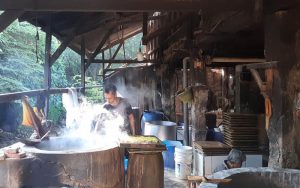 Alhamdulillah, Stok Kedelai di Purwakarta Aman dan Tercukupi