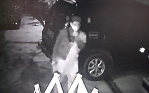 Pria Pencuri Tanaman Hias Alglonema di Purwakarta Terekam Kamera CCTV