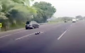 Video: Seorang Pria Tiduran di Jalan Tol Jagorawi Viral di Media Sosial