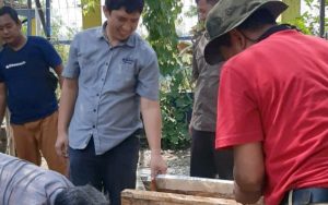 Dispangtan Purwakarta Uji Coba Penggunaan Burung Hantu Atasi Hama Tikus