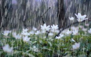 BMKG: Prakiraan Cuaca Wilayah Purwakarta Hujan Ringan Hingga Sedang