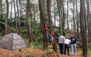Video: Wisata Hutan Pinus yang Mempesona di Desa Pusakamulya Purwakarta
