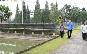 Kondisi Kolam Budidaya Ikan di Satpel Perikanan Jabar 70 Persen Kurang Layak