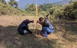 Komunitas Pecinta Alam Sambut Baik Pelestarian Pohon Bambu di Purwakarta