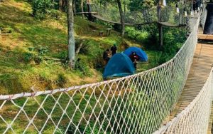 Wisata di Ujung Aspal Purwakarta, Dinaungi Hutan Pinus yang Sejuk dan Indah