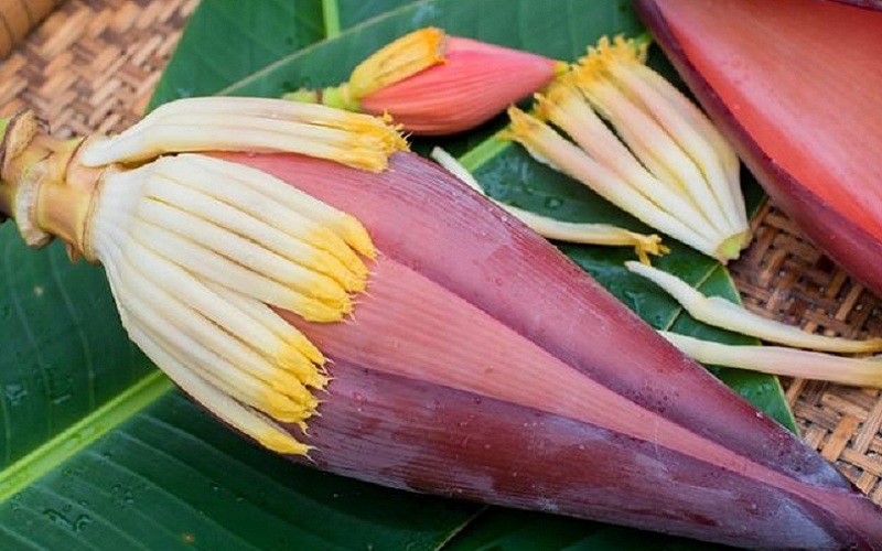 jantung pisang