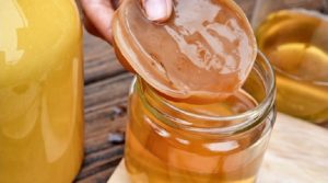 Kombucha, Teh Fermentasi Ribuan Tahun Yang Banyak Manfaatnya
