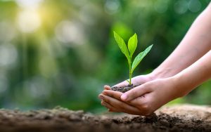 Jelang HPN 2022, Menteri LHK Ajak PWI Gaungkan Isu Kepedulian Lingkungan