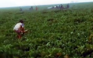 Fenomena Manusia Bisa Berjalan di Atas Air Waduk Jatiluhur, Benarkah?