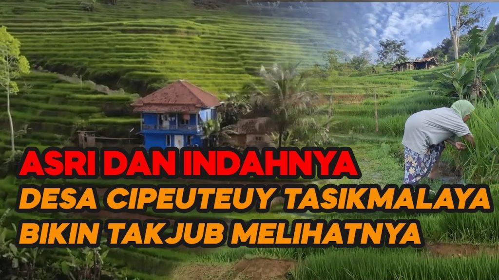 Video: Dibuat Takjub Oleh Keindahan dan Keasrian Desa Cipeuteuy Tasikmalaya