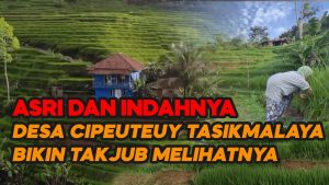 Video: Dibuat Takjub Oleh Keindahan dan Keasrian Desa Cipeuteuy Tasikmalaya