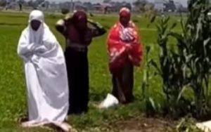 Video Viral Ibu-Ibu Petani Kacang Saat Dengar Azan, Langsung Menunaikan Shalat