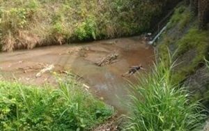 Warga Campaka Dihebohkan Seorang Pria yang Tergeletak di Bawah Jembatan