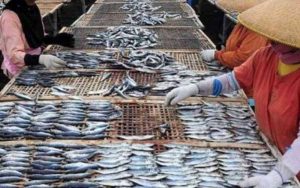 DPRD Jabar Minta Pemprov Tingkatkan Pelayanan Hasil Produk UMKM Perikanan