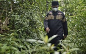 Wagub Jabar: Pembangunan Jembatan Betman Sudah Digagas Sejak Tahun 2015