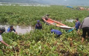 Sat Polair, TNI Bersama PJT II dan Masyarakat Bersihkan Eceng Gondok di Waduk Jatiluhur
