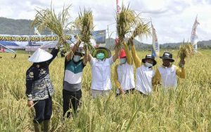 Sektor Pertanian Jadi Tulang Punggung Ekonomi Nasional Saat Pandemi Covid-19