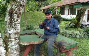 Peneliti PPTK: Secangkir Teh Hangat Bermanfaat Bagi Kesehatan di Musim Hujan