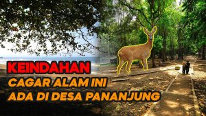 Video: Cagar Alam Pananjung Pangandaran, Sangat Cocok Untuk Wisata Edukasi