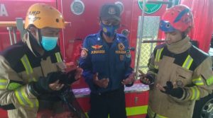 Warga Wanayasa Diresahkan Oleh Monyet Liar yang Menyerang Penduduk Setempat