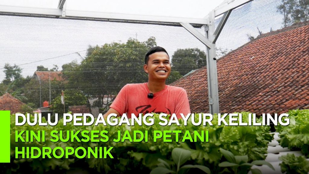 Video: Dulu Pedagang Sayur Keliling, Sekarang Sukses Jadi Petani Hidroponik