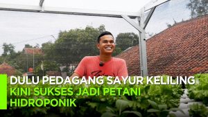 Video: Dulu Pedagang Sayur Keliling, Sekarang Sukses Jadi Petani Hidroponik