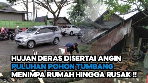 Video: Hujan dan Angin Kencang, Puluhan Pohon Tumbang Menimpa Rumah Warga di Tasikmalaya