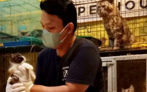 Libur Tahun Baru 2022, Tempat Penitipan Hewan di Purwakarta Alami Penurunan